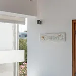 Niriides Boutique * Κουφονήσι